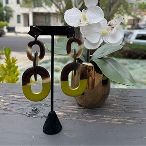 Elegant Brown and green buffalo horn lacquer Earrings